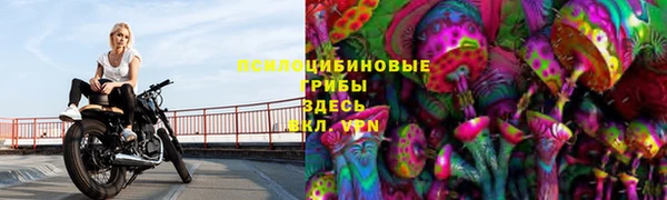 хмурый Балабаново
