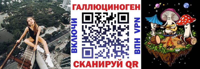 Галлюциногенные грибы Psilocybine cubensis  это клад  Суворов 